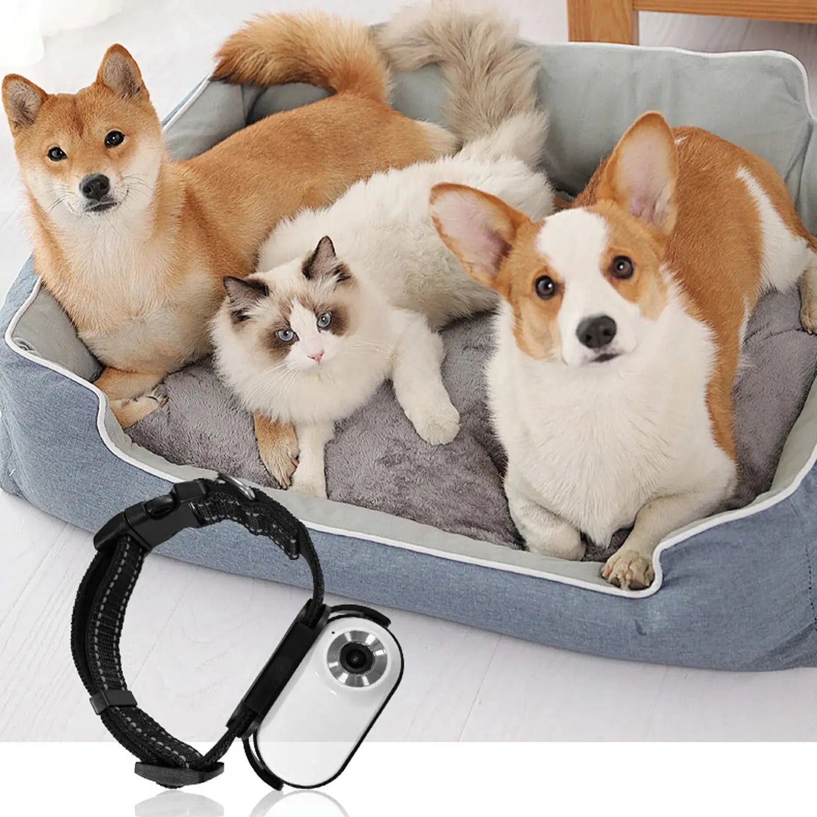 Pet Collar Camera 120